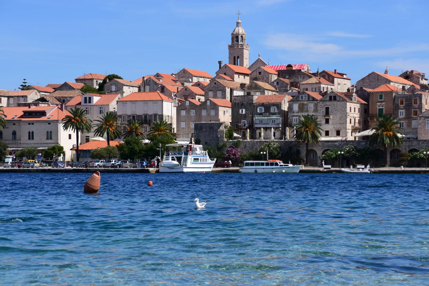Le front de mer de Korčula et le clocher de la cathédrale vus au-dessus de l’eau bleue